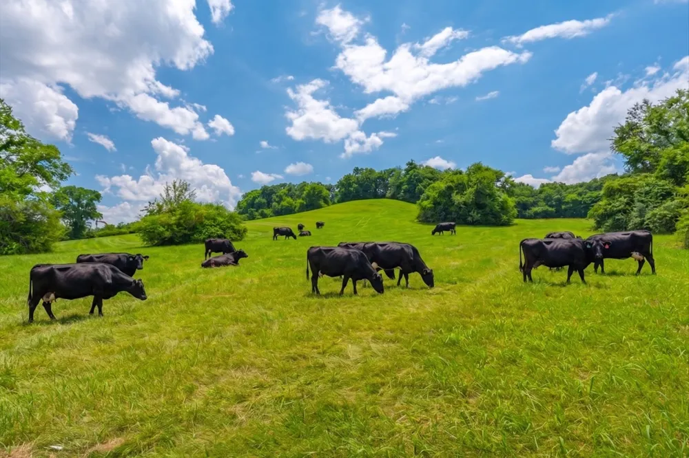 2200 Sugar Ridge Rd Spring Hill, TN 37174
