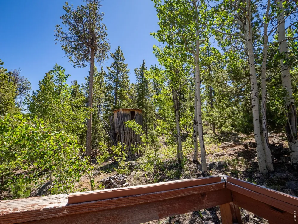 1847 Shoshoni Drive Red Feather Lakes, CO 80545