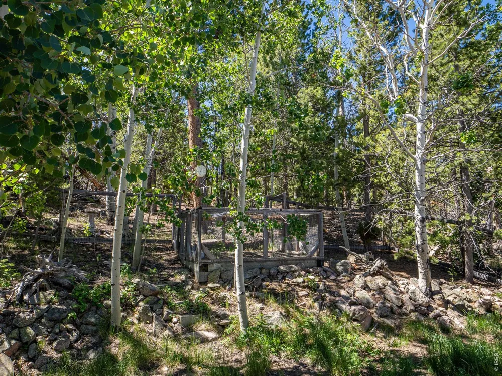 1847 Shoshoni Drive Red Feather Lakes, CO 80545