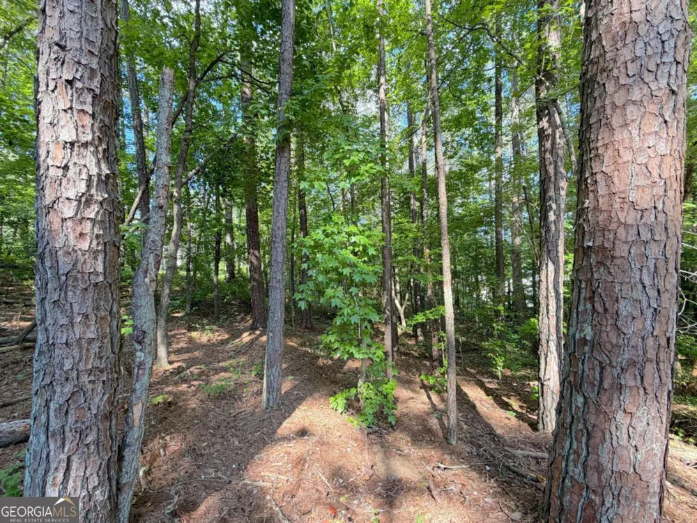 1306 Southgate DR Villa Rica, GA 30180