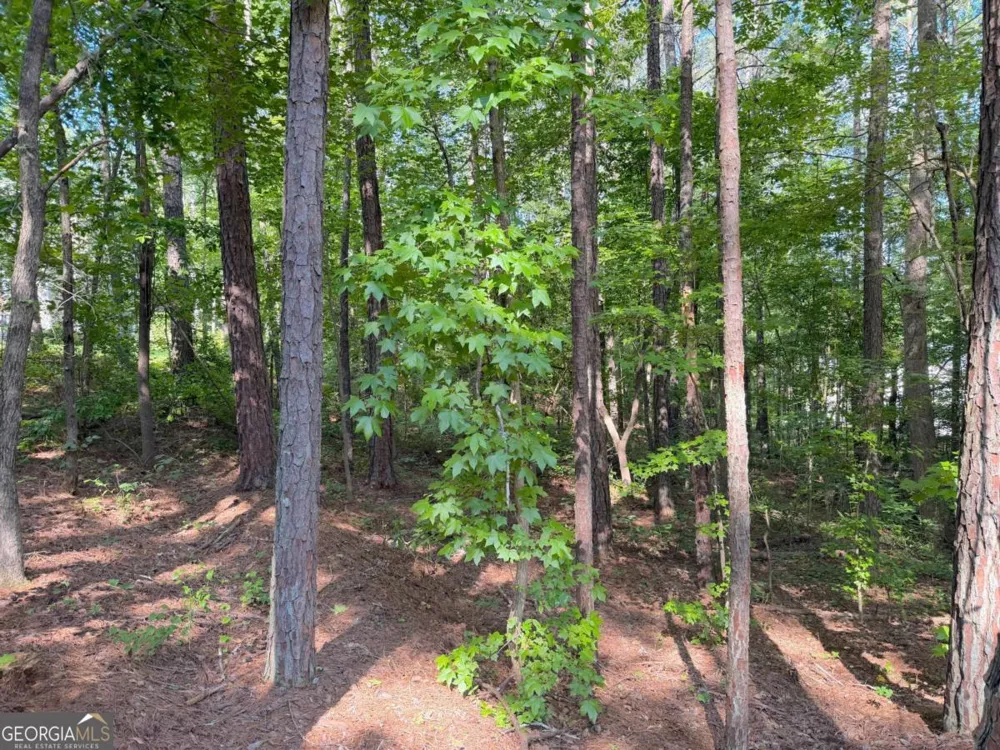 1306 Southgate DR Villa Rica, GA 30180