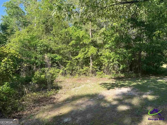 0 Michael CT Bonaire, GA 31005