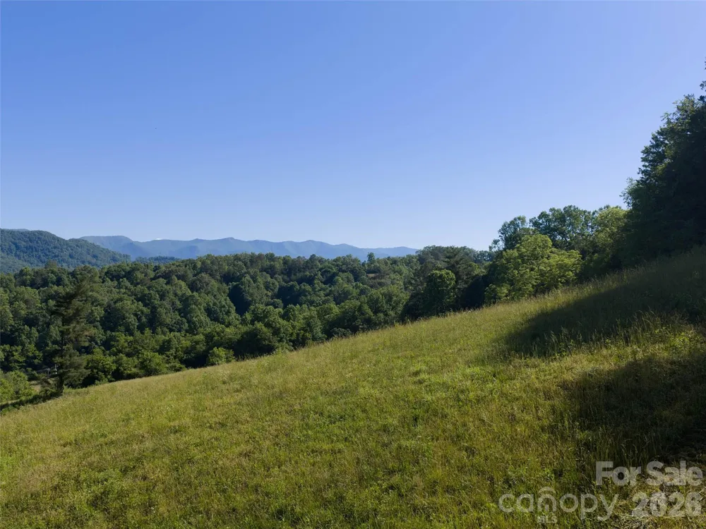 00000 Little Savannah Road Sylva, NC 28779