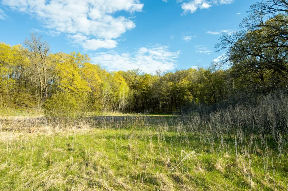 Tract A - TBD State Highway 108 Pelican Rapids, MN 56572