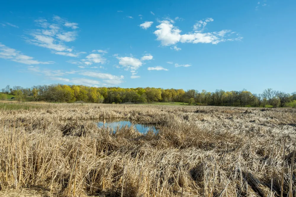 Tract B - TBD State Highway 108 Pelican Rapids, MN 56572