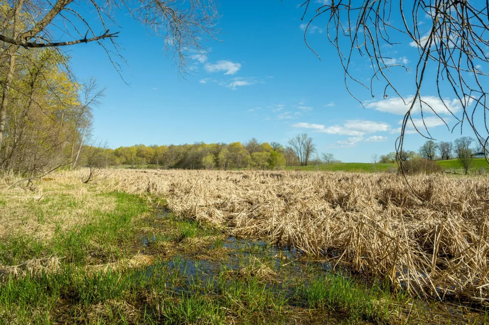 Tract C - TBD State Highway 108 Pelican Rapids, MN 56572