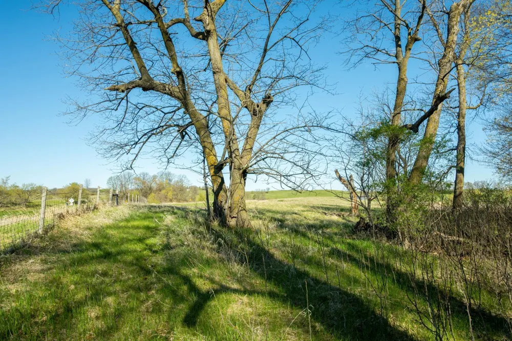 Tract C - TBD State Highway 108 Pelican Rapids, MN 56572