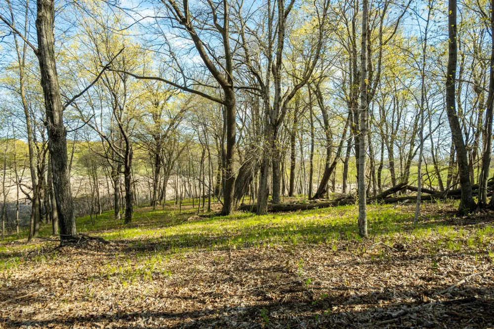 Tract C - TBD State Highway 108 Pelican Rapids, MN 56572