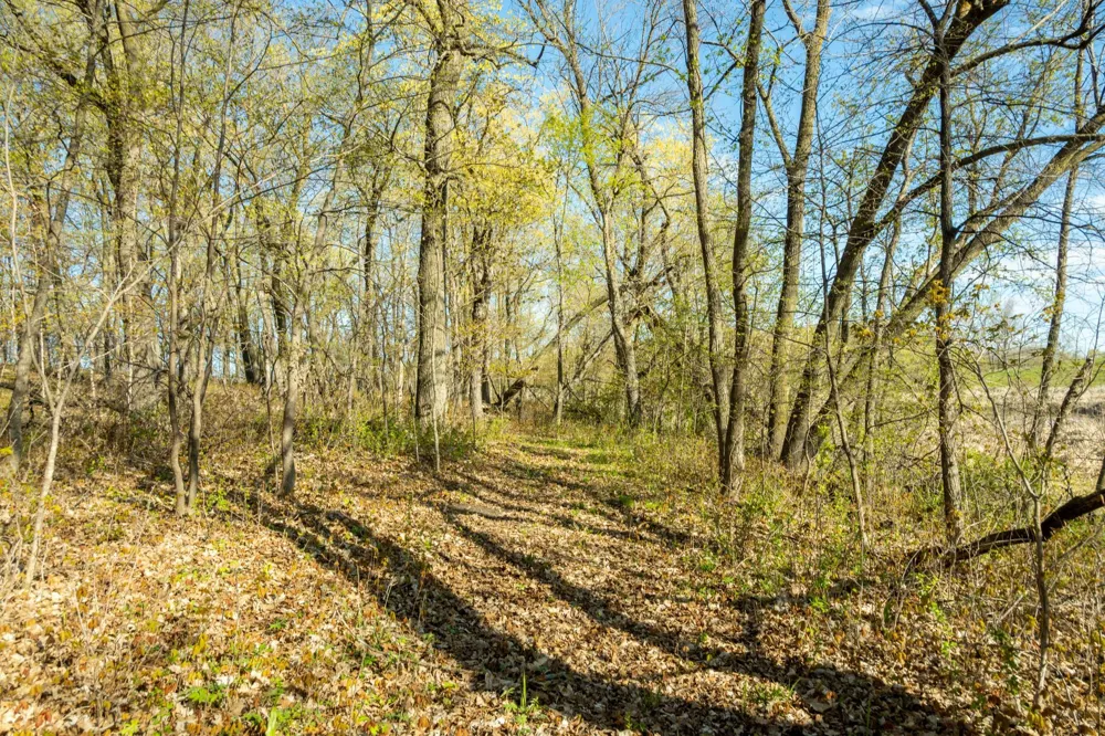 Tract C - TBD State Highway 108 Pelican Rapids, MN 56572