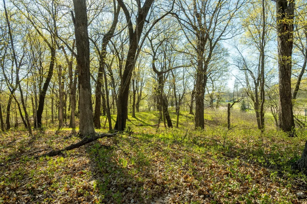 Tract C - TBD State Highway 108 Pelican Rapids, MN 56572