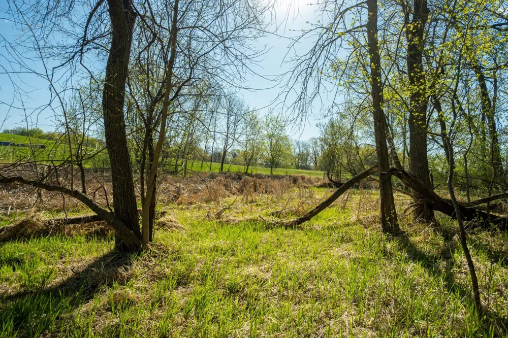 Tract C - TBD State Highway 108 Pelican Rapids, MN 56572
