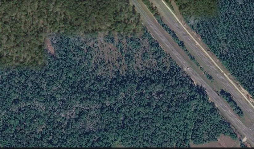 7915 Highway 69 Kountze, TX 77625