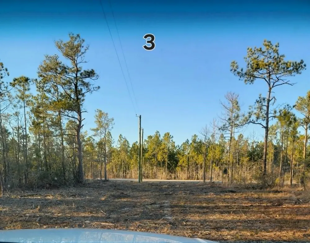 7915 Highway 69 Kountze, TX 77625