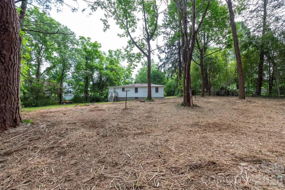 215 Merchant Street #2 Asheville, NC 28803
