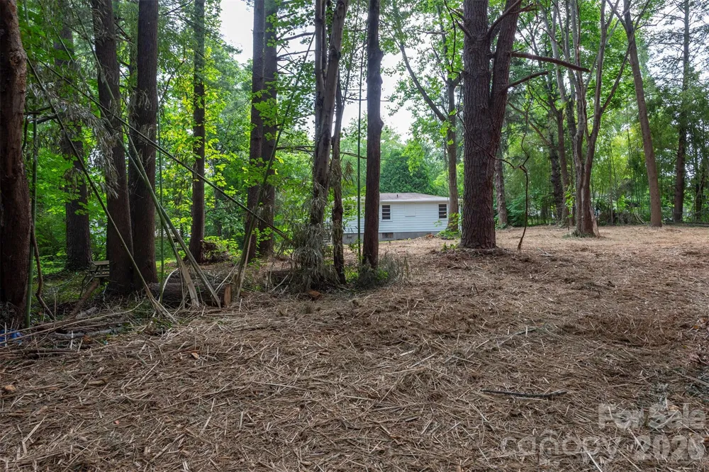 215 Merchant Street #2 Asheville, NC 28803