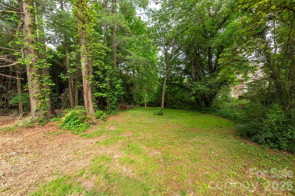 215 Merchant Street #2 Asheville, NC 28803