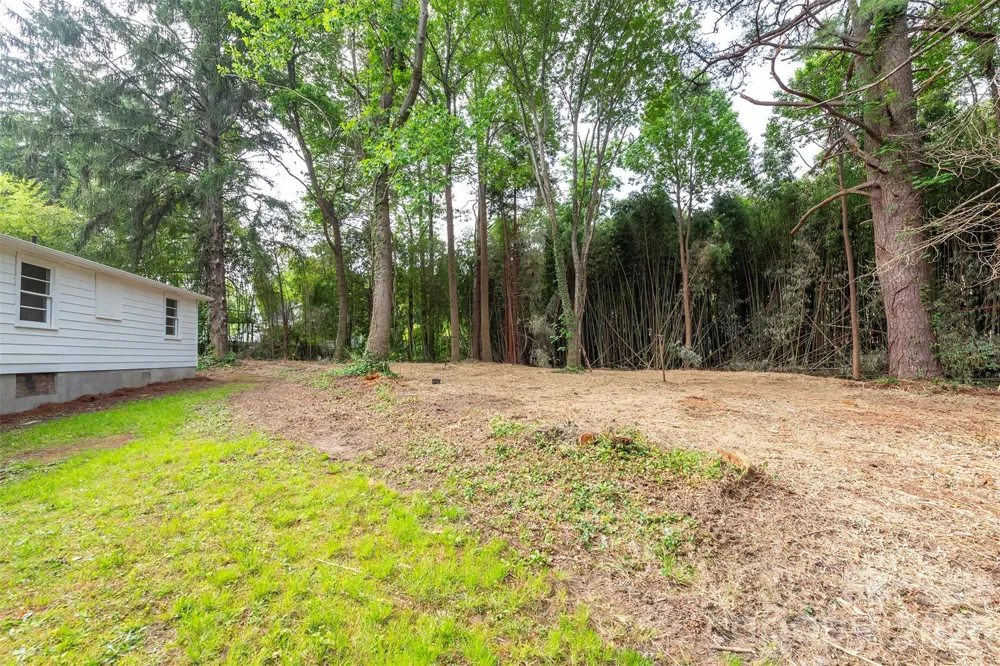 215 Merchant Street #2 Asheville, NC 28803