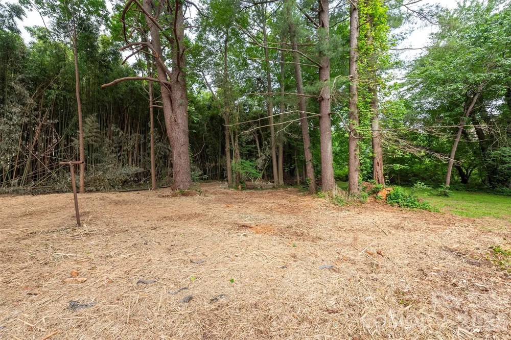 215 Merchant Street #2 Asheville, NC 28803