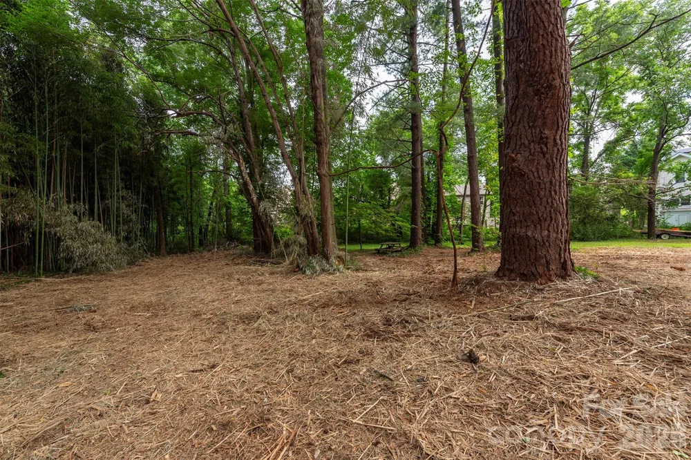 215 Merchant Street #2 Asheville, NC 28803