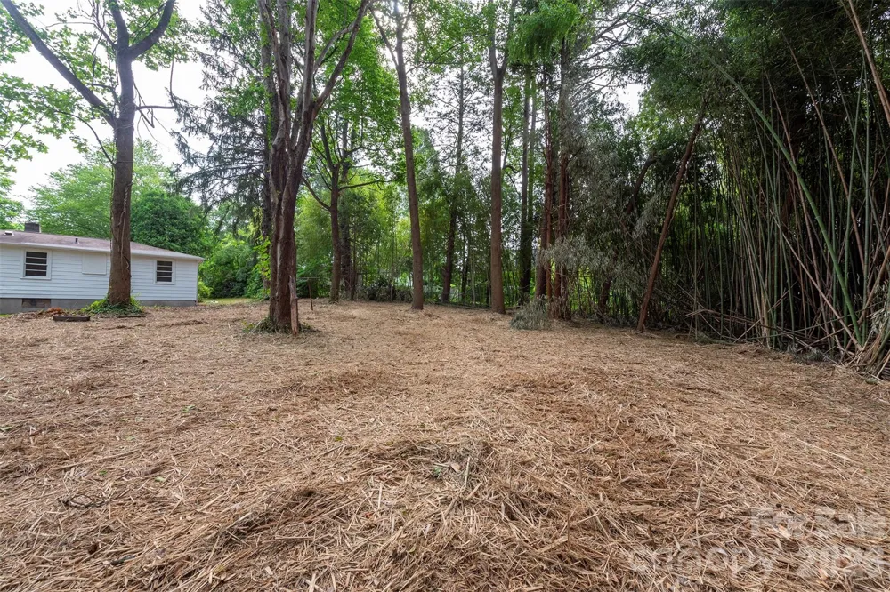 215 Merchant Street #2 Asheville, NC 28803