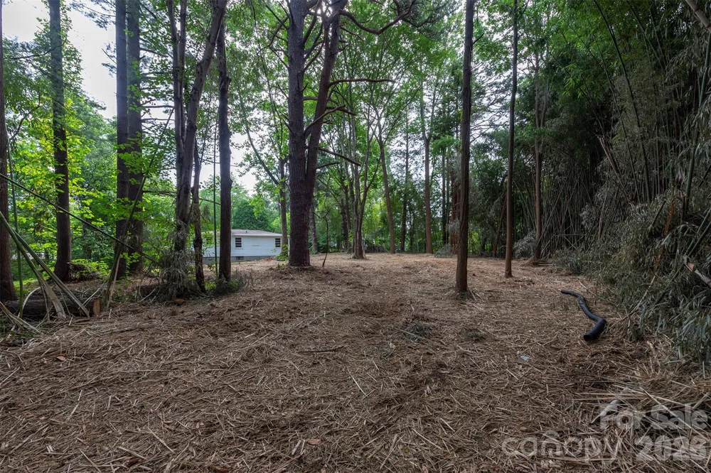 215 Merchant Street #2 Asheville, NC 28803