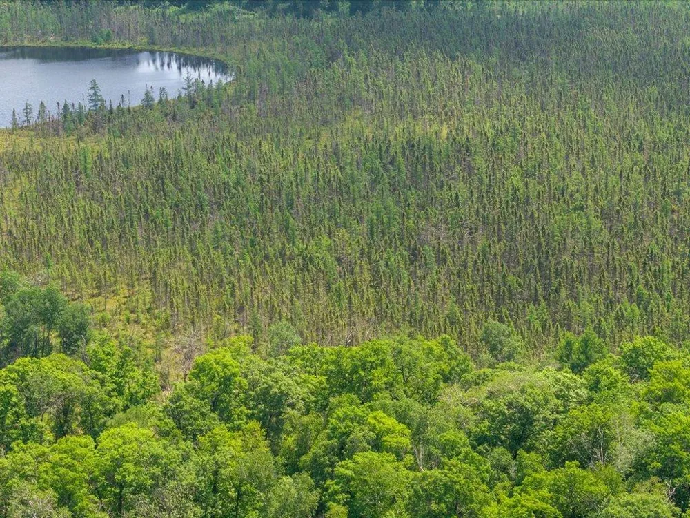 Lot 1 County Road 12 Ironton, MN 56455