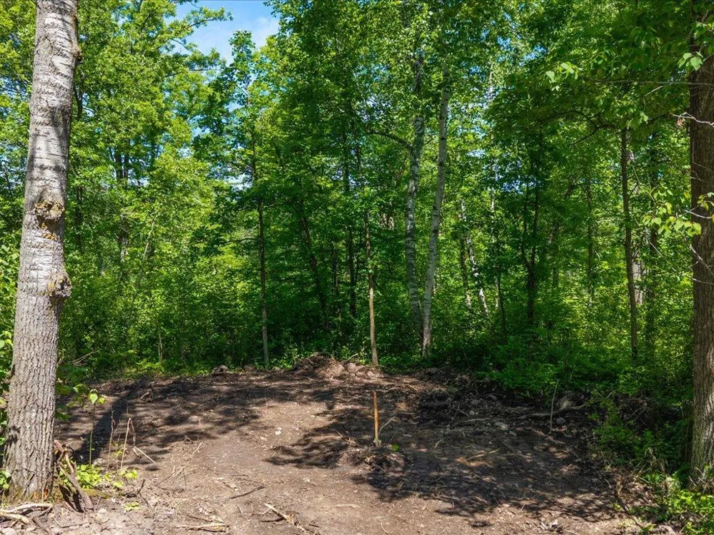 Lot 1 County Road 12 Ironton, MN 56455