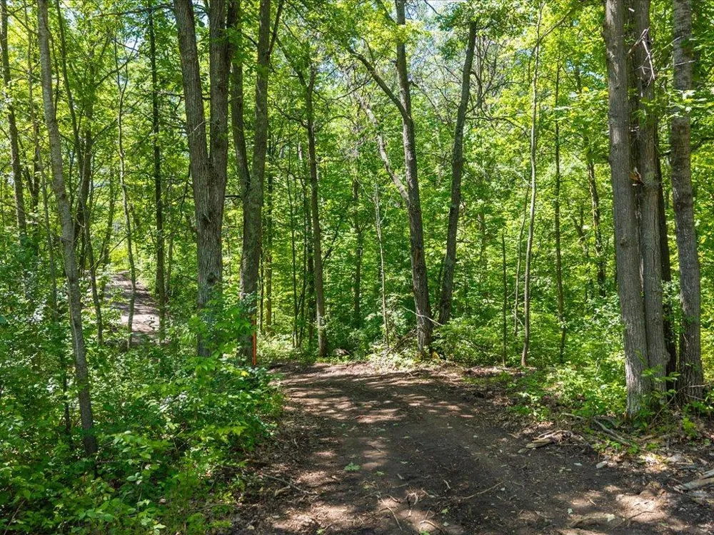 Lot 1 County Road 12 Ironton, MN 56455