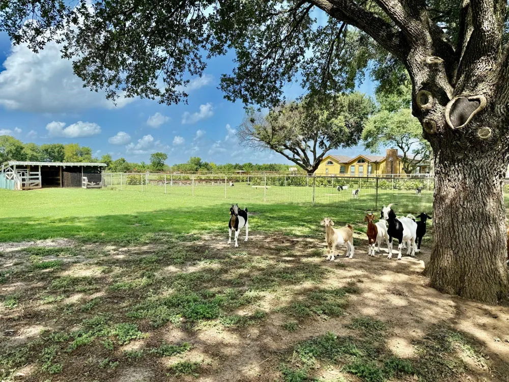 37110 Donigan Road Brookshire, TX 77423