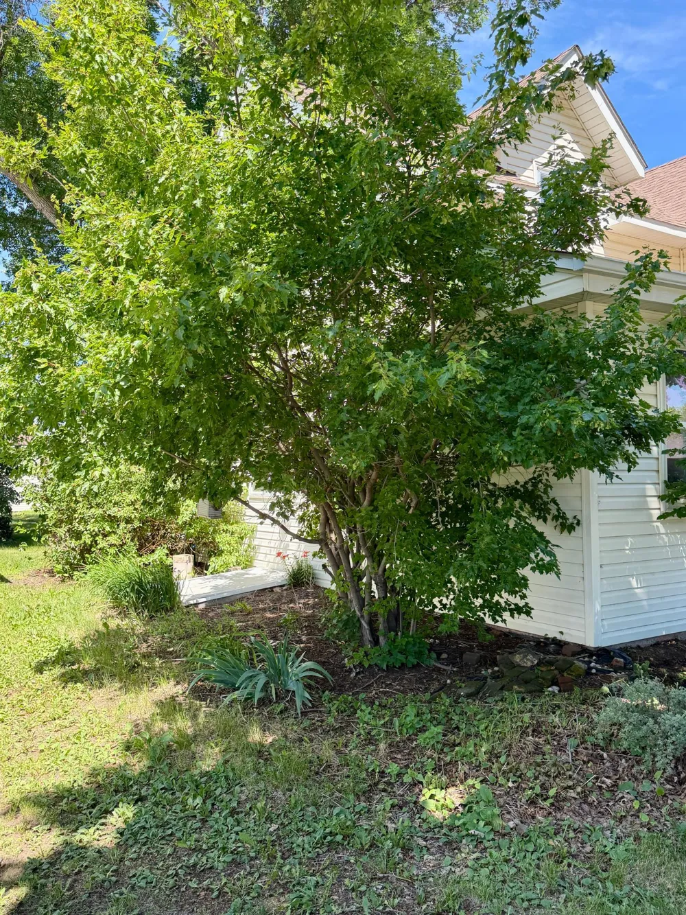 801 Mechanic Street Edgerton, MN 56128
