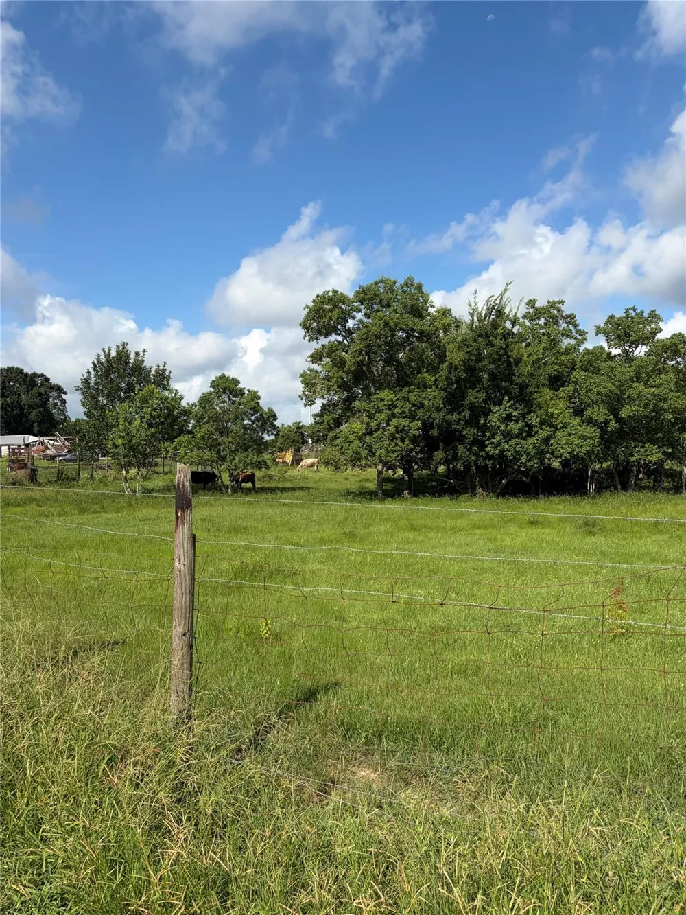 George Gordon Road Fulshear, TX 77441
