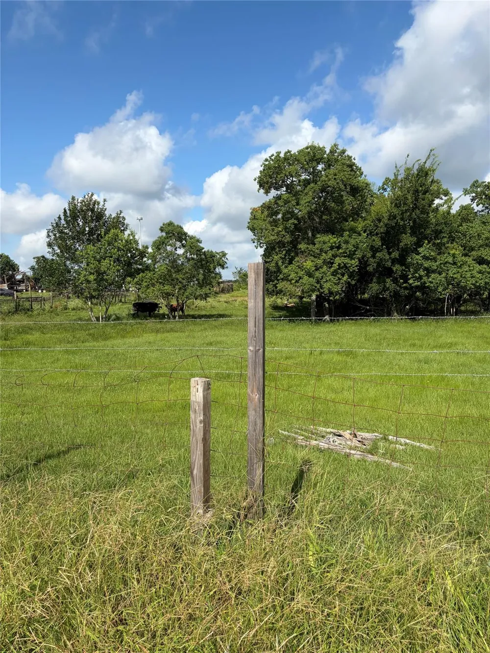 George Gordon Road Fulshear, TX 77441