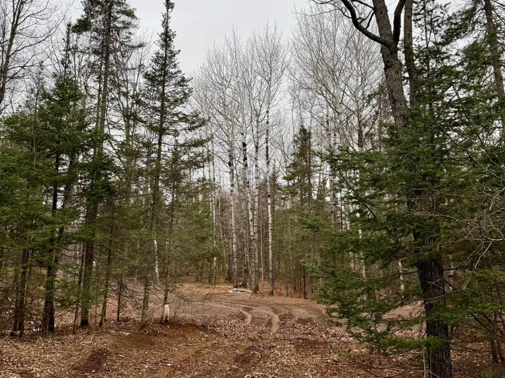 TBD Arnold Rd. Duluth, MN 55803