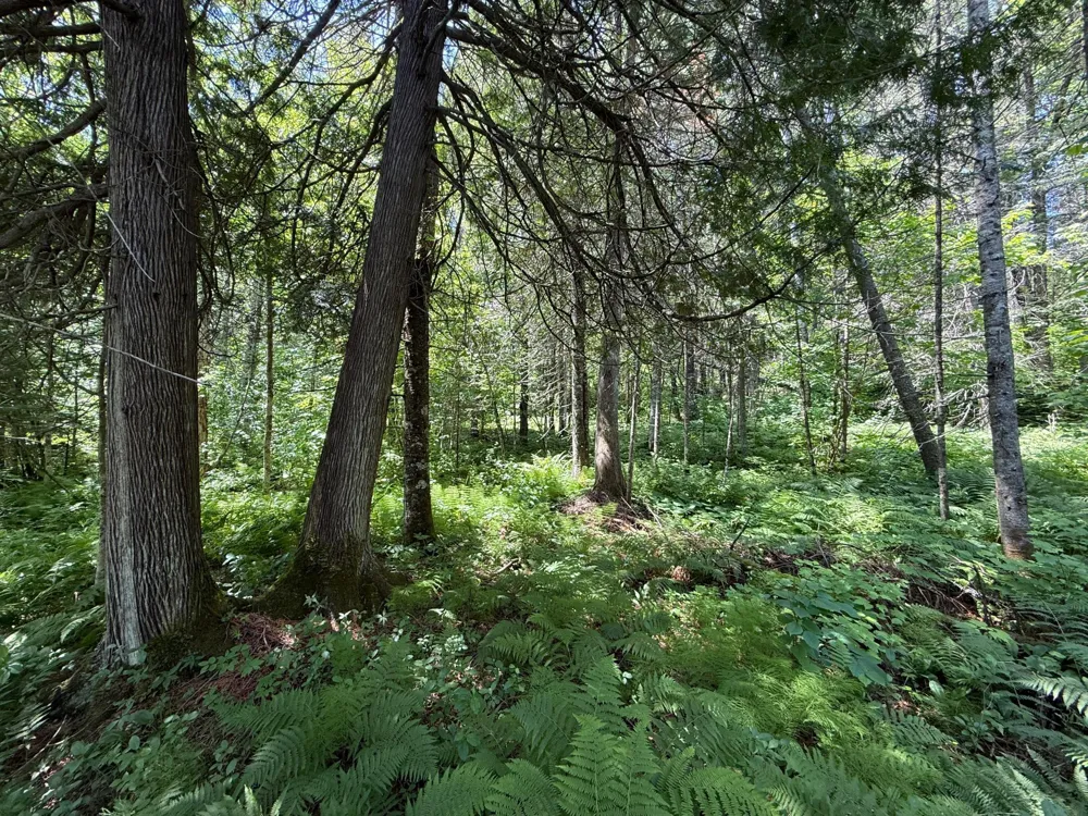 TBD Arnold Rd. Duluth, MN 55803