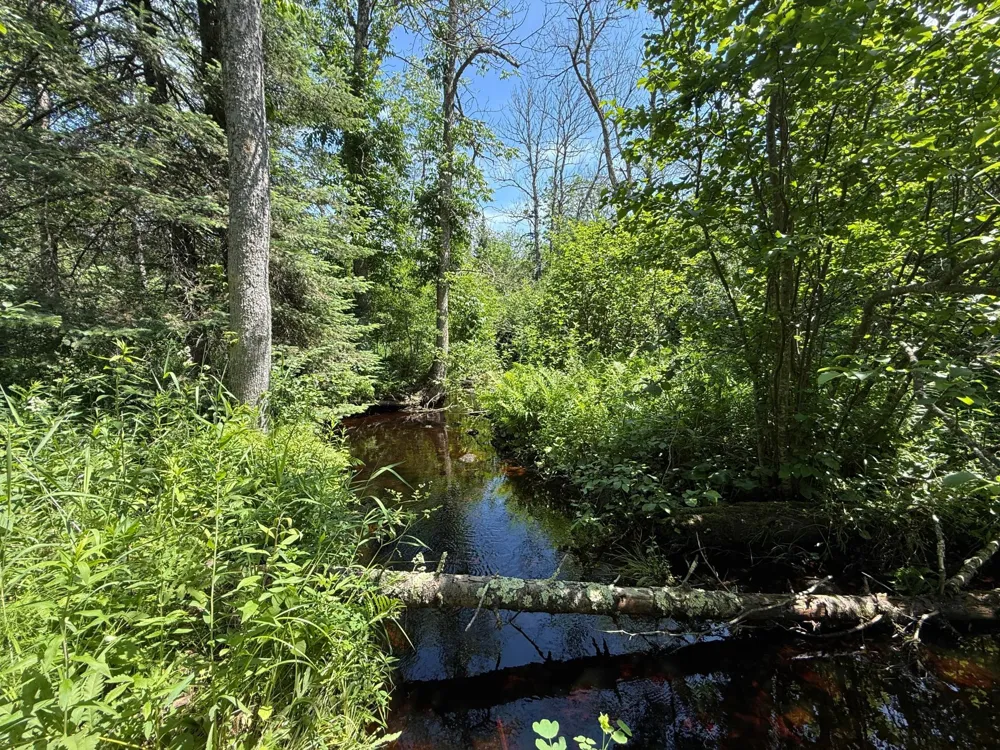 TBD Arnold Rd. Duluth, MN 55803