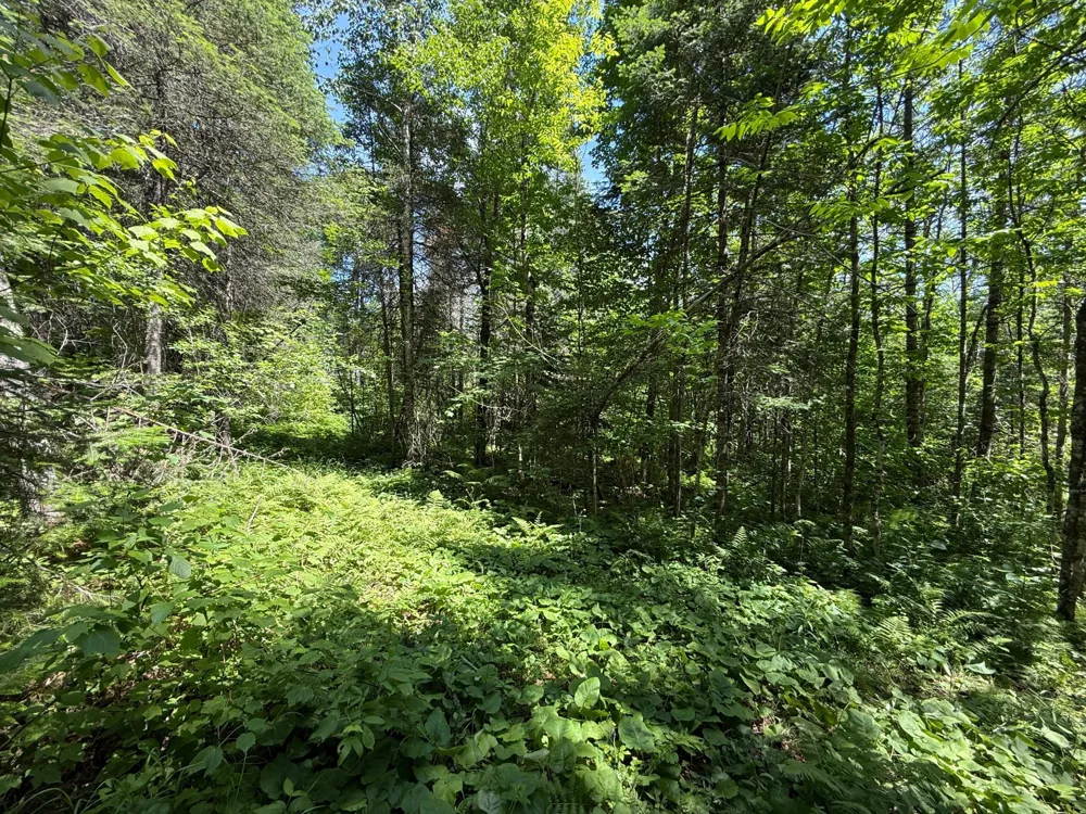 TBD Arnold Rd. Duluth, MN 55803