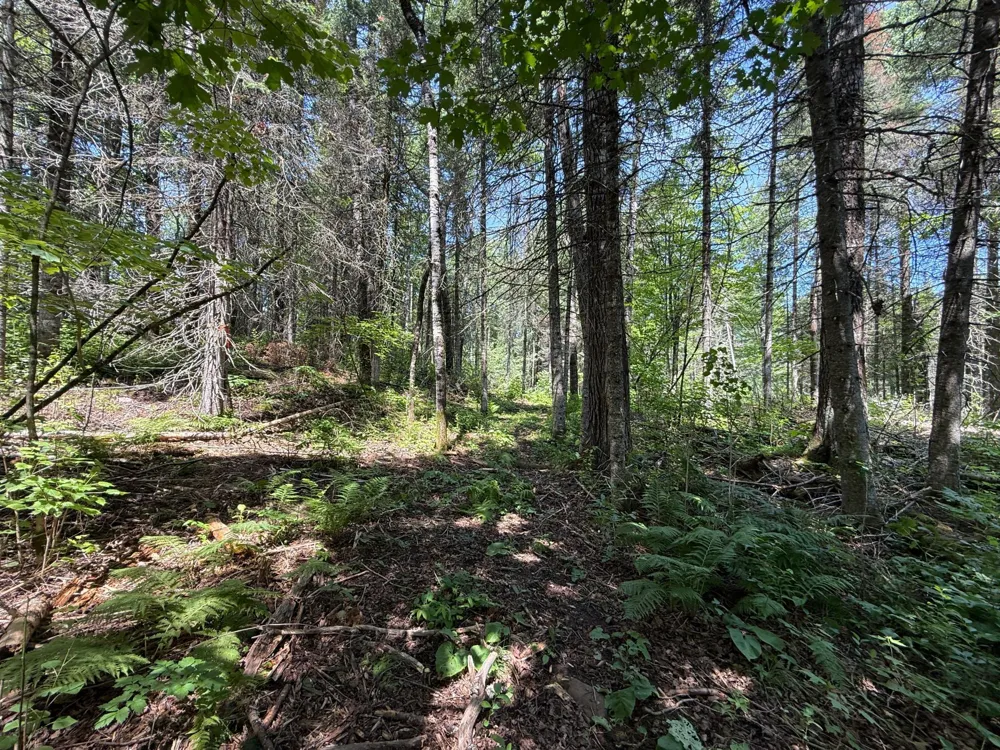 TBD Arnold Rd. Duluth, MN 55803