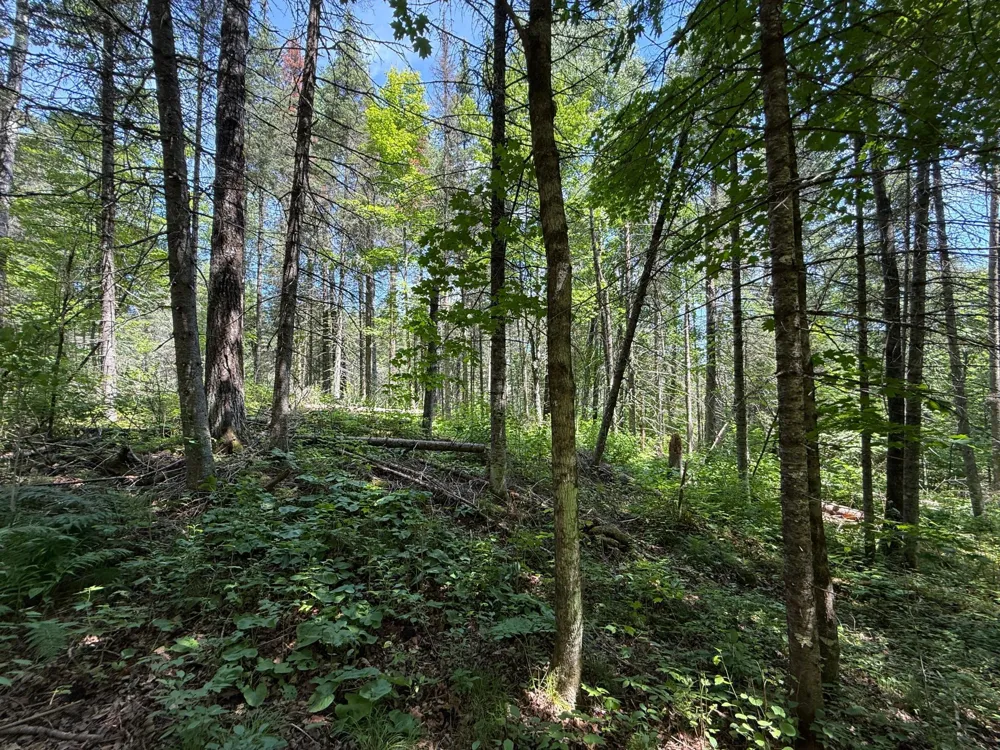 TBD Arnold Rd. Duluth, MN 55803