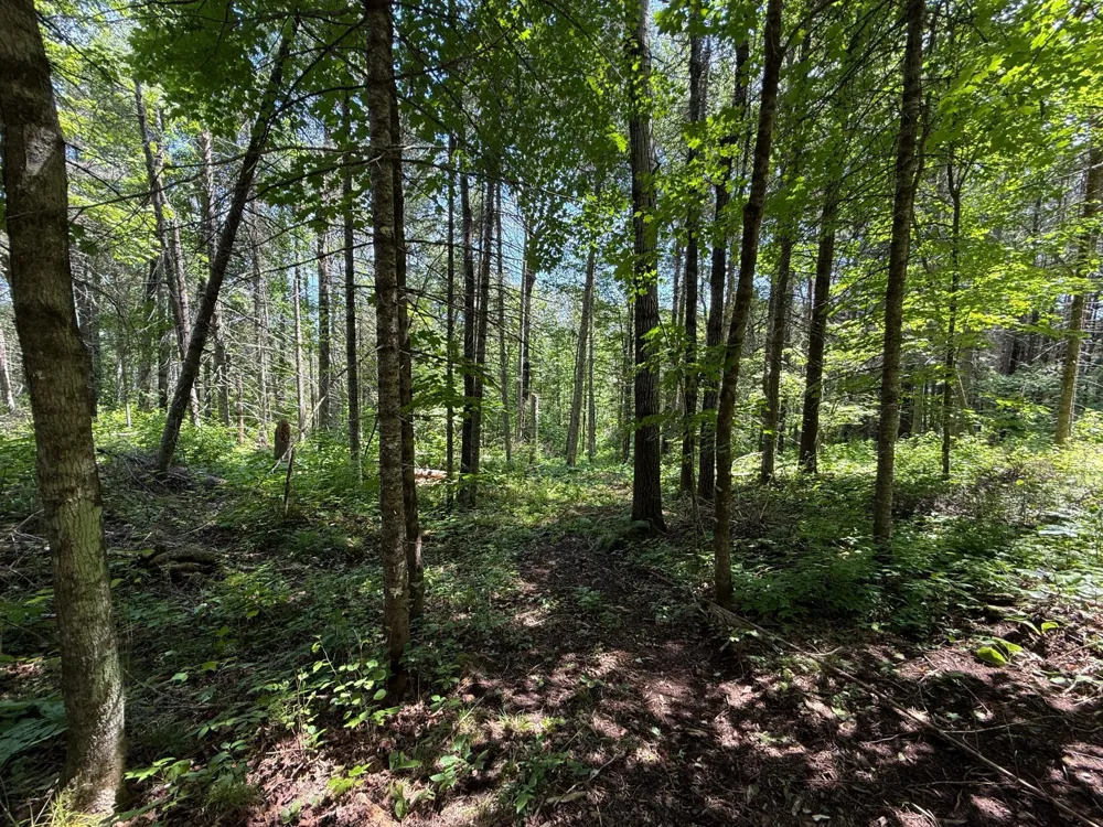 TBD Arnold Rd. Duluth, MN 55803