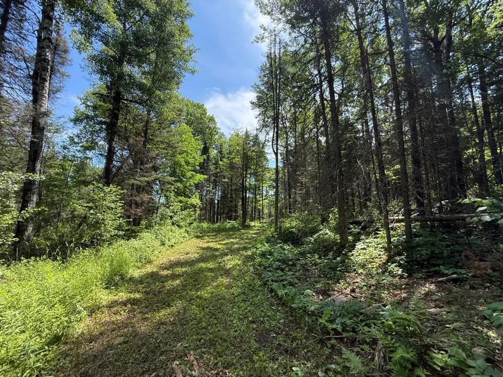 TBD Arnold Rd. Duluth, MN 55803