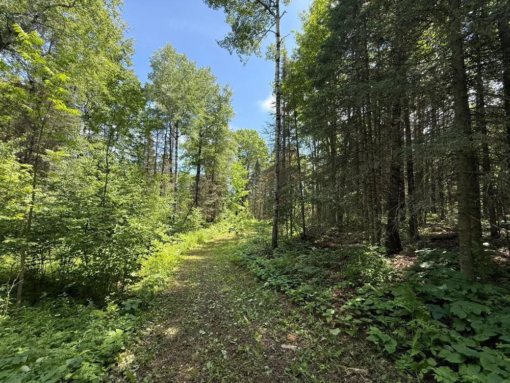 TBD Arnold Rd. Duluth, MN 55803