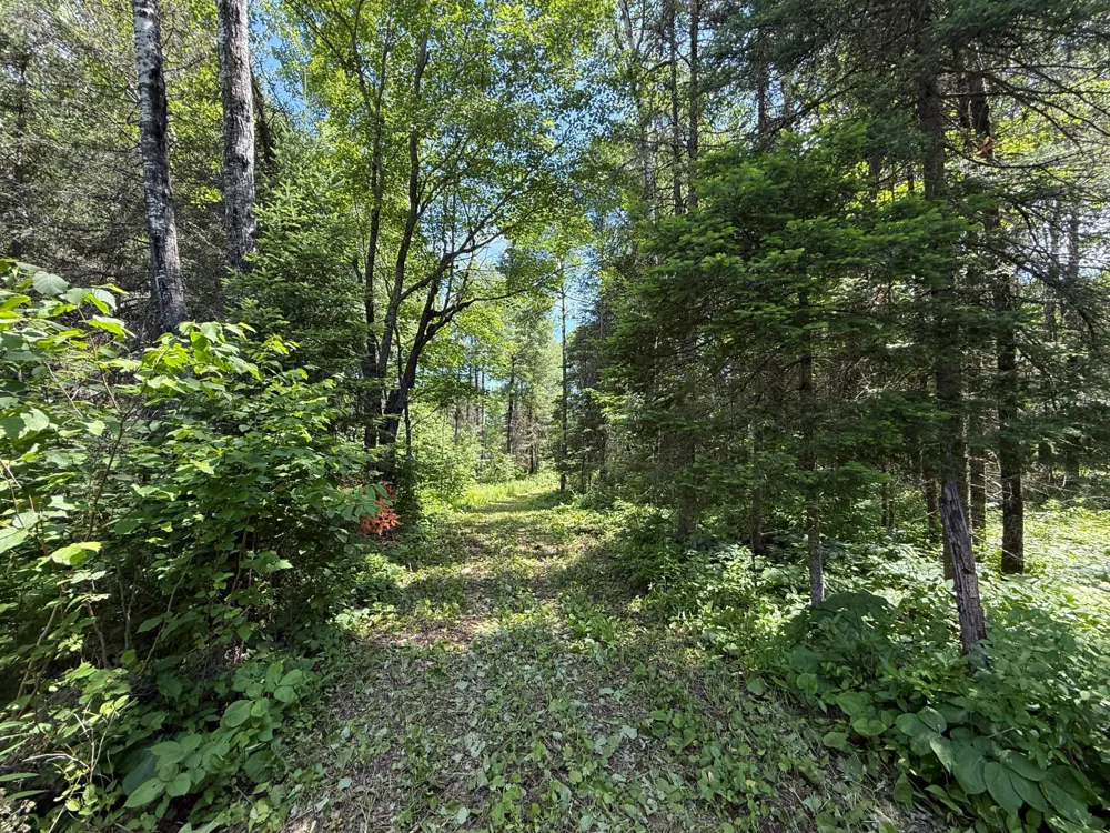 TBD Arnold Rd. Duluth, MN 55803
