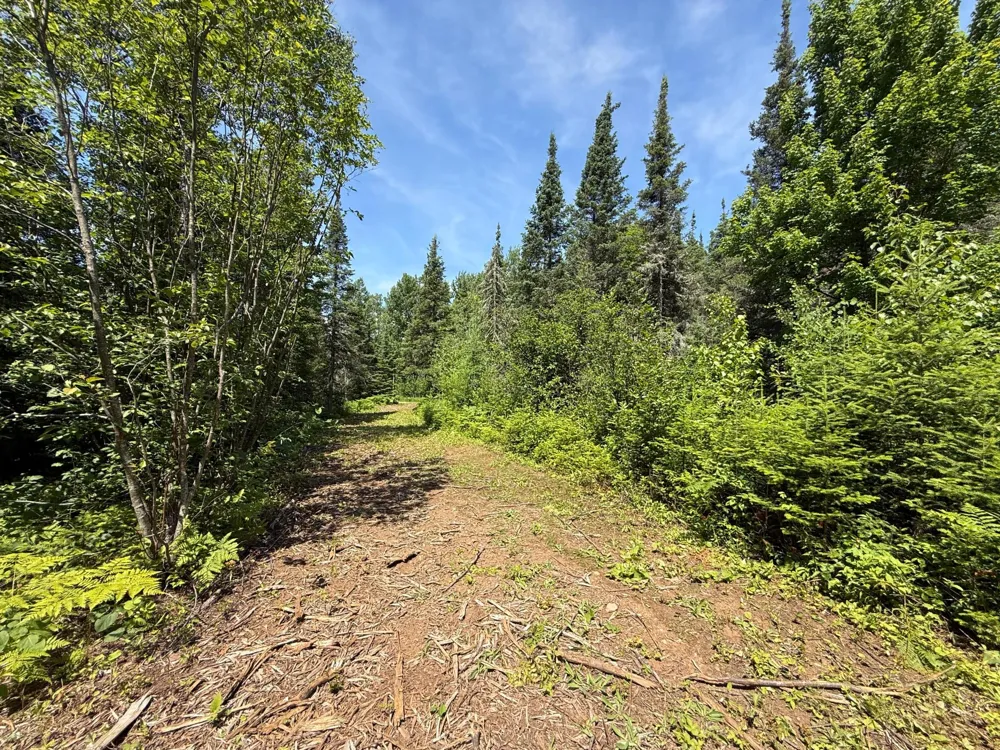TBD Arnold Rd. Duluth, MN 55803