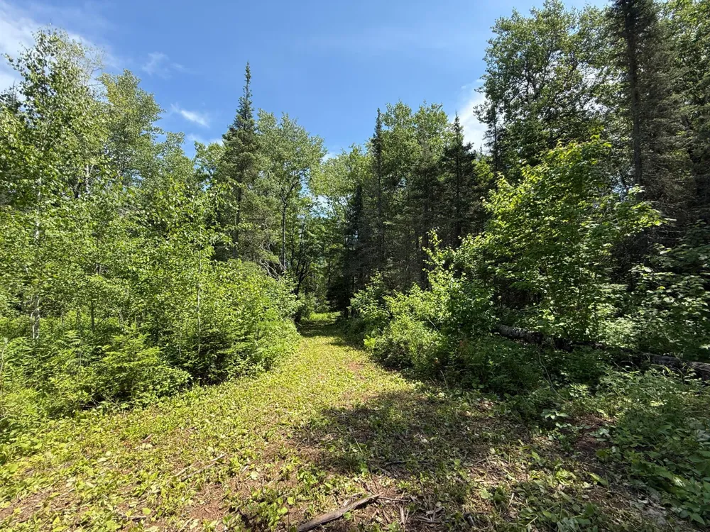 TBD Arnold Rd. Duluth, MN 55803