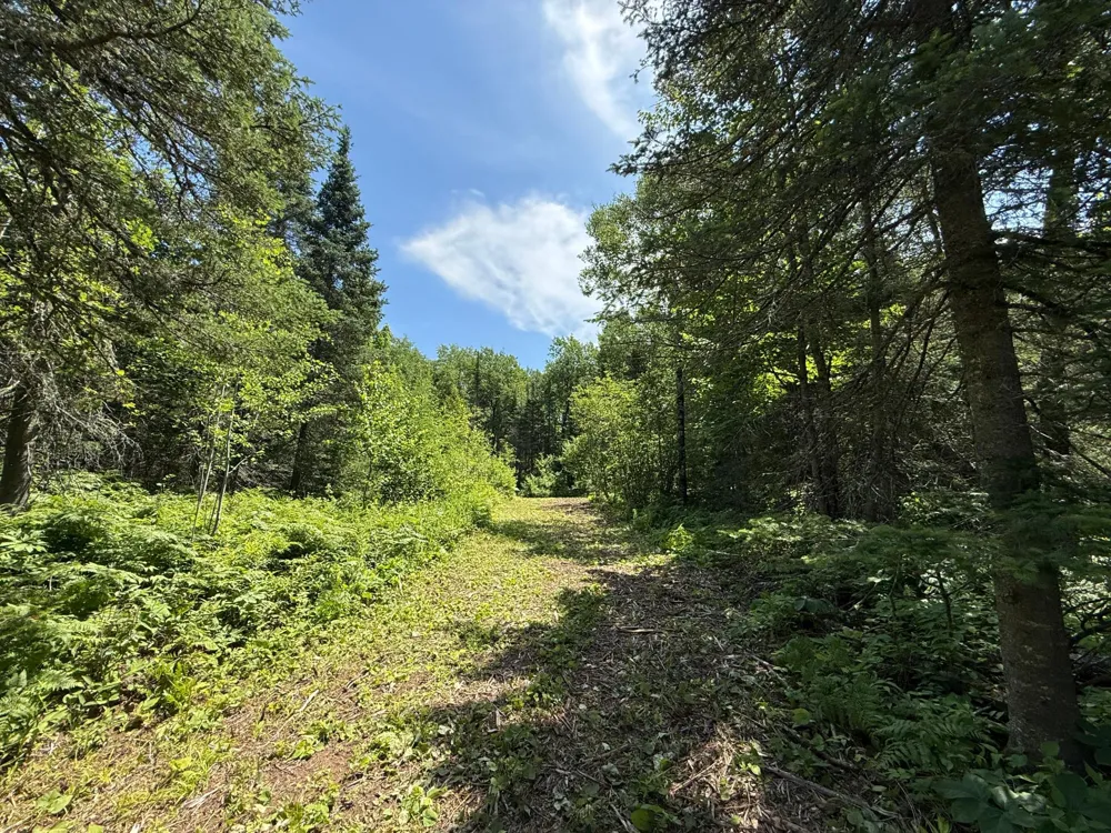 TBD Arnold Rd. Duluth, MN 55803
