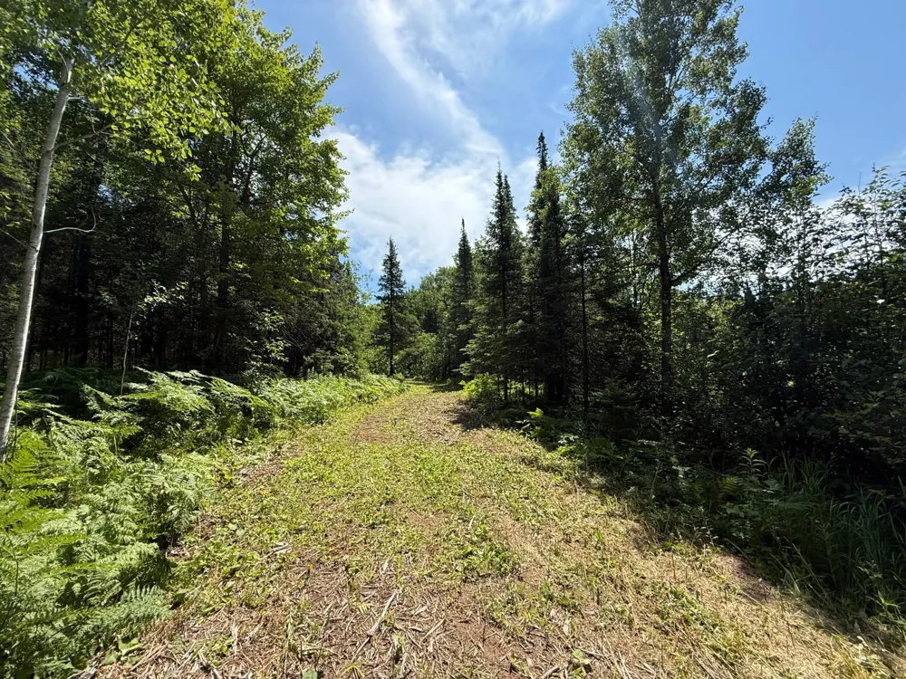 TBD Arnold Rd. Duluth, MN 55803