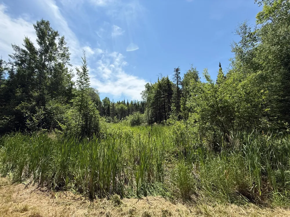 TBD Arnold Rd. Duluth, MN 55803