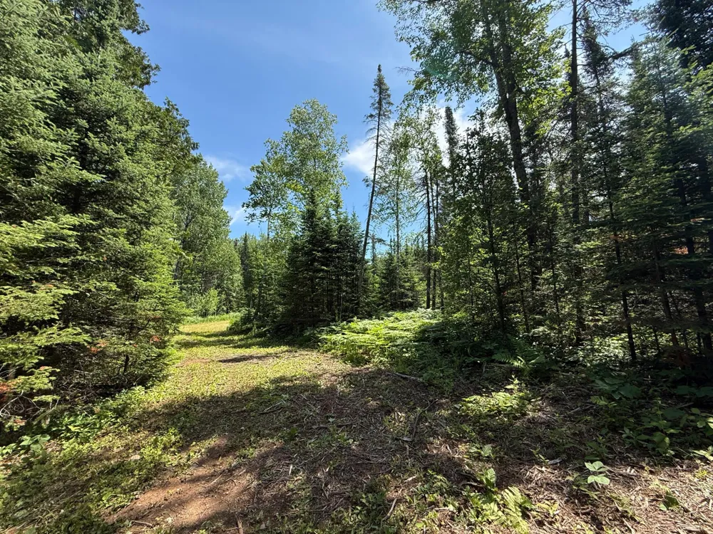 TBD Arnold Rd. Duluth, MN 55803