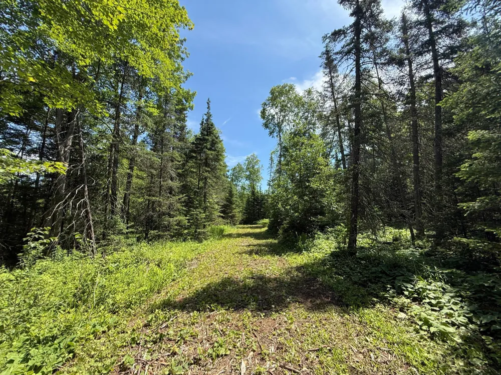 TBD Arnold Rd. Duluth, MN 55803
