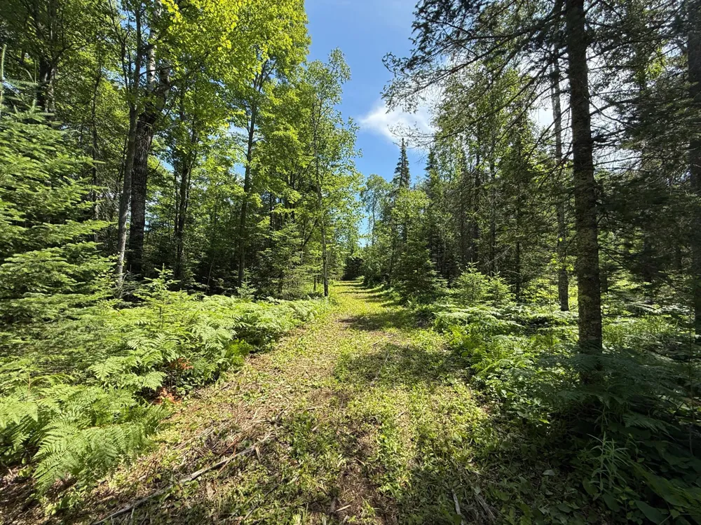 TBD Arnold Rd. Duluth, MN 55803